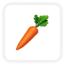 Nourish Logo