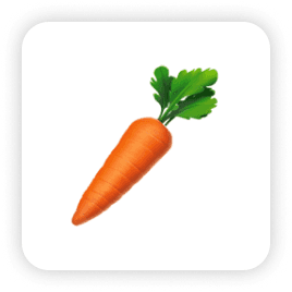 Nourish Logo